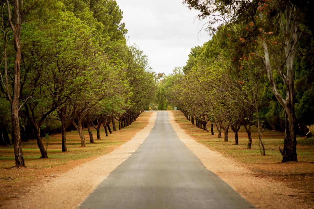 Renmark Country Club Exteriér fotografie