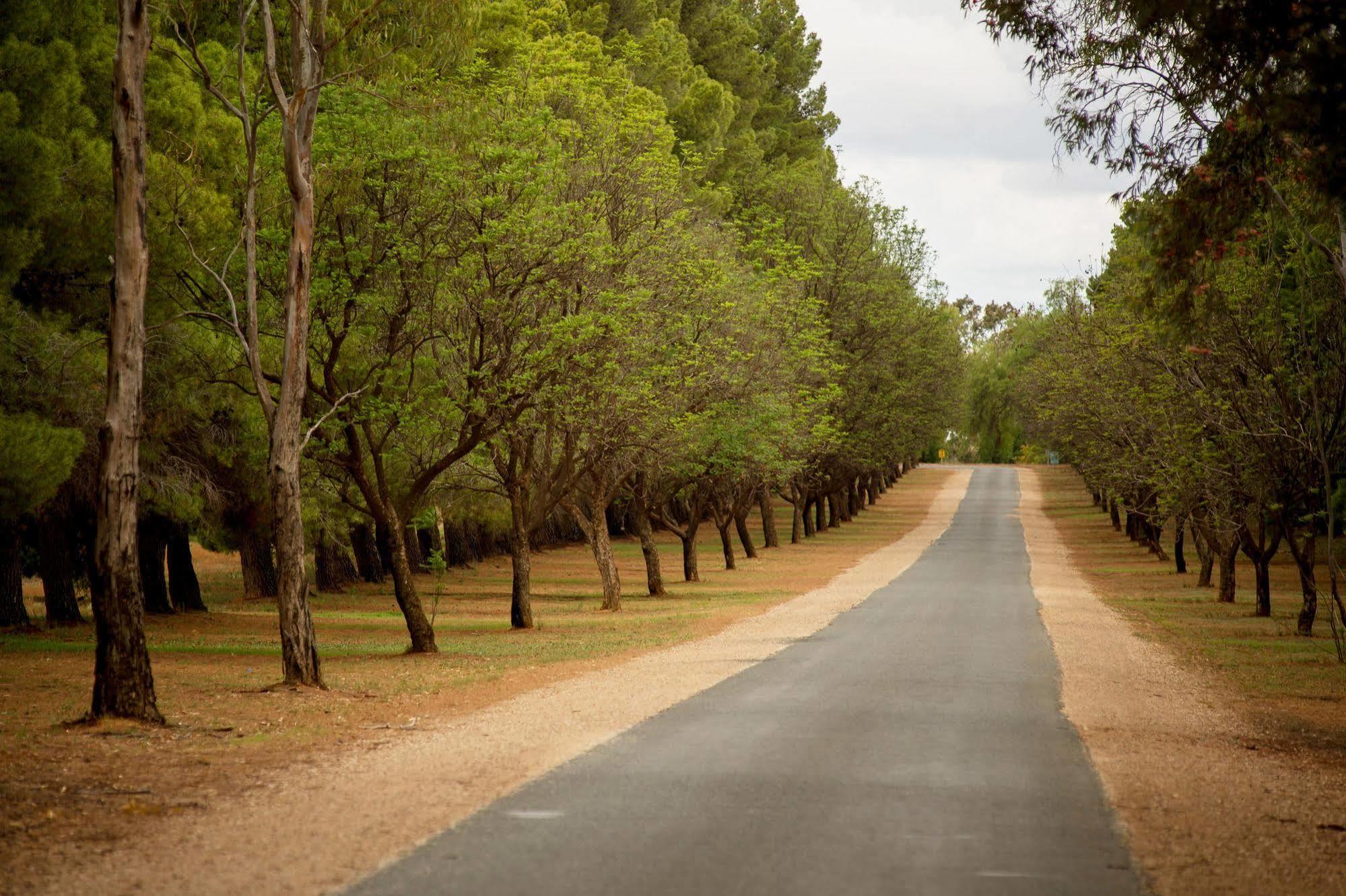 Renmark Country Club Exteriér fotografie