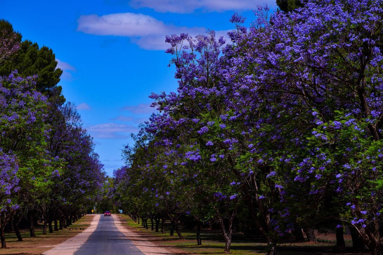 Renmark Country Club Exteriér fotografie